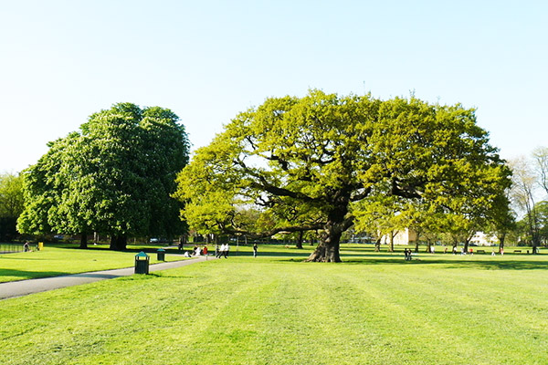 園林設計中的借景手法